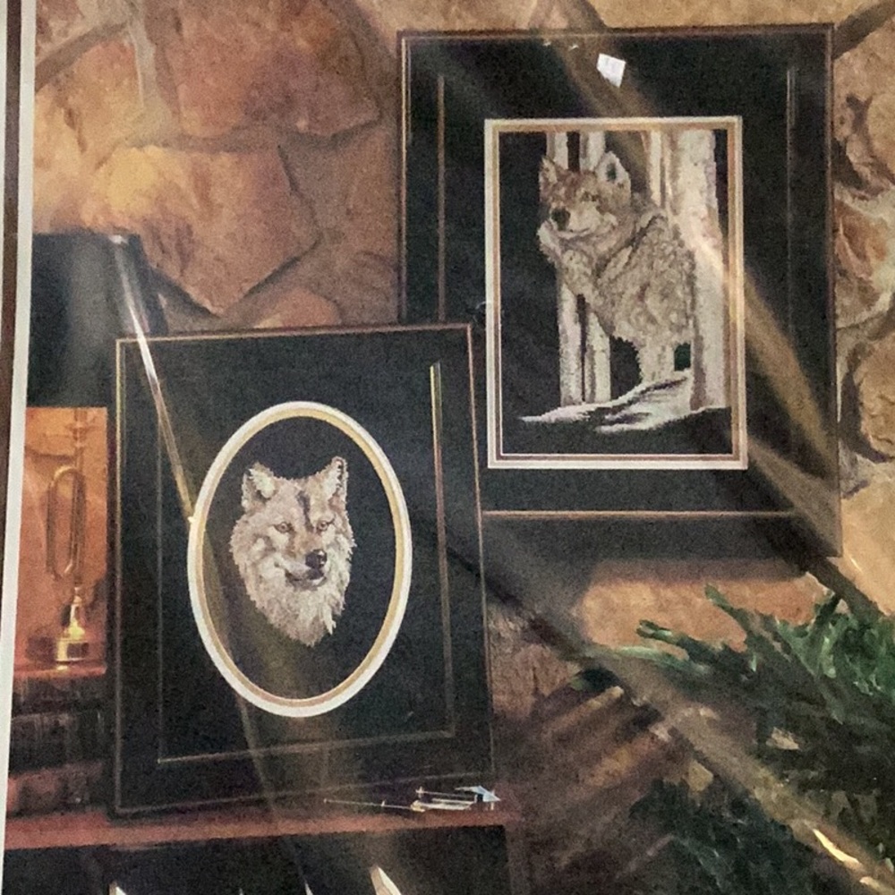 Color Charts "Timber Wolves" Counted Cross Stitch Kit #225